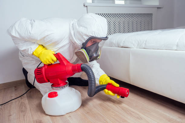 Best Flea Control Services  in Mapleton, MN