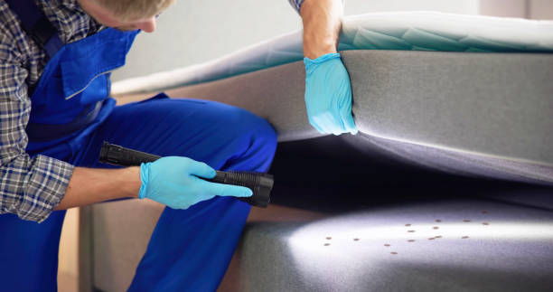 Best Pest Inspection Near Me  in Mapleton, MN