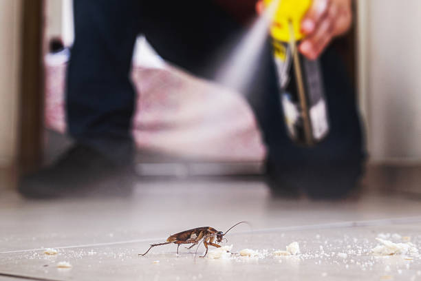 Trusted Mapleton, MN Pest Control Experts